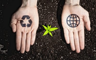 How to Create an Eco-Conscious Plan for Your Business