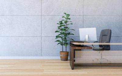 How to make your office more eco-friendly